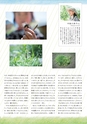 ちびっこぷれす  Chibikko press 2015年6月号 NO.193