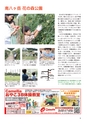 ちびっこぷれす  Chibikko press 2015年10月号 NO.197