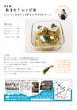ちびっこぷれす  Chibikko press 2016年3月号 NO.202