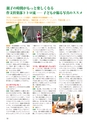ちびっこぷれす  Chibikko press 2016年9月号 NO.208